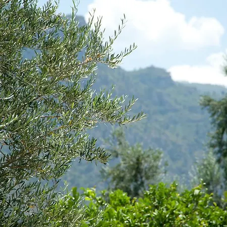 Eco Villas
